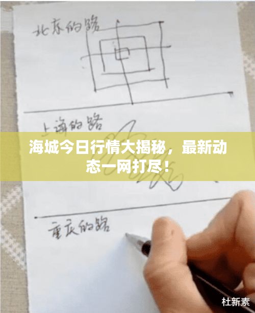 2025年5月12日 第3页