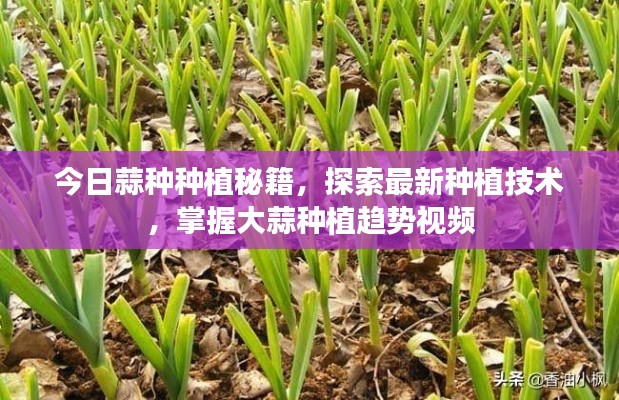 2025年5月12日 第2页