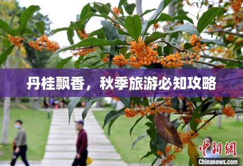 达官贵人