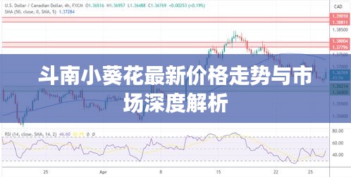 干混砂浆 第7页