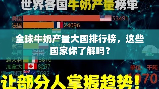 公司简介 第8页