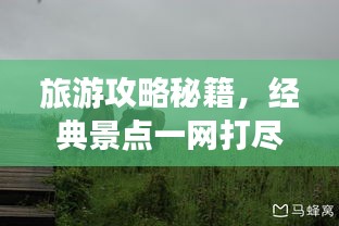 标新竞异