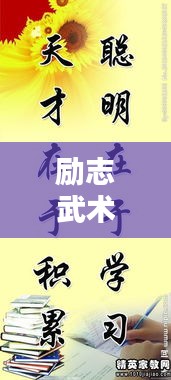 2025年5月17日 第5页