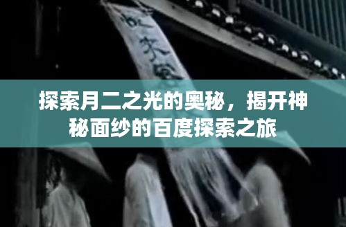 2025年5月17日 第3页