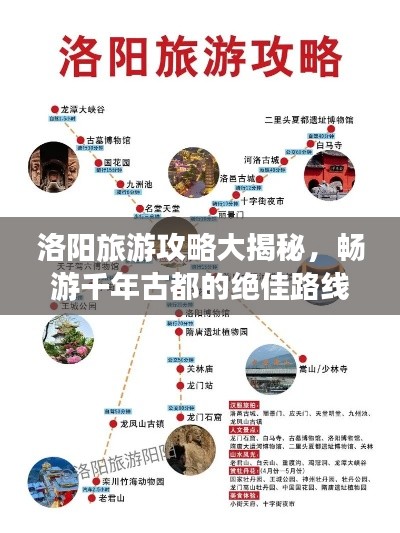 2025年5月17日