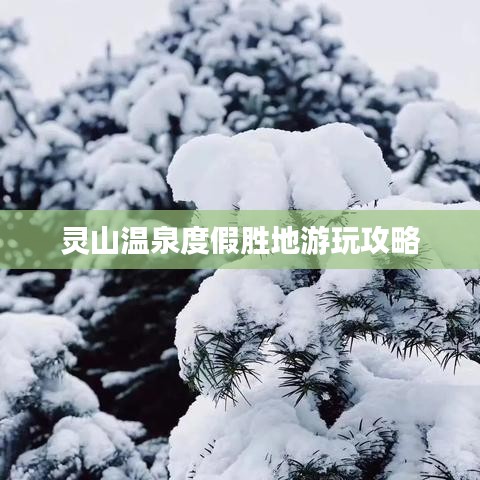 2025年5月19日 第4页