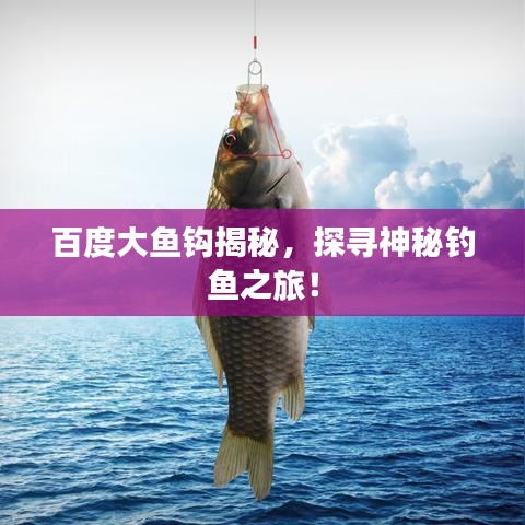 2025年5月19日