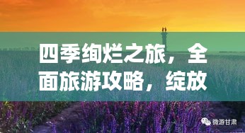 2025年5月24日 第3页