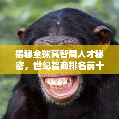 2025年5月24日 第2页