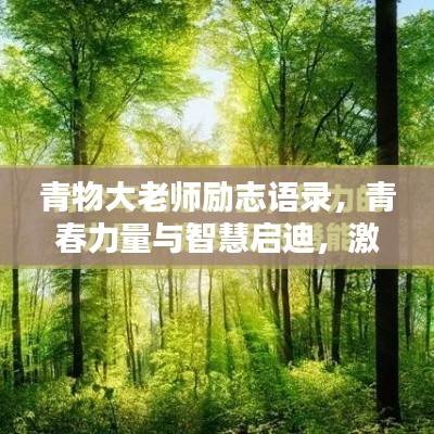 2025年5月25日 第2页