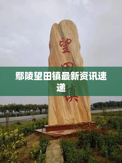 鄢陵望田镇最新资讯速递