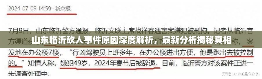 山东临沂砍人事件原因深度解析，最新分析揭秘真相