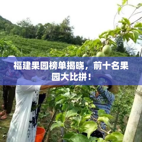 益胶泥 第4页