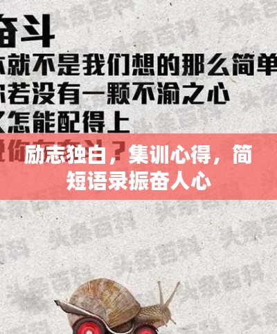 常见问题 第3页