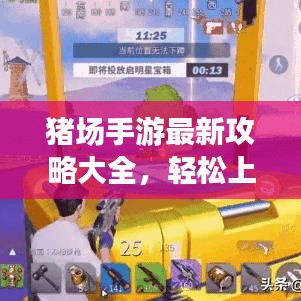 猪场手游最新攻略大全，轻松上手，玩转游戏！