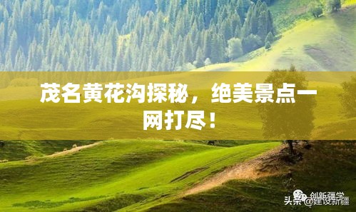 悬驼就石