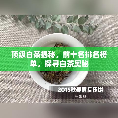 张三李四
