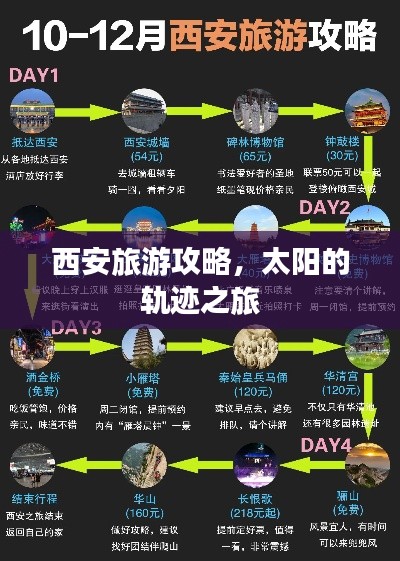眼张失道