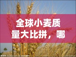 张皇铺饰