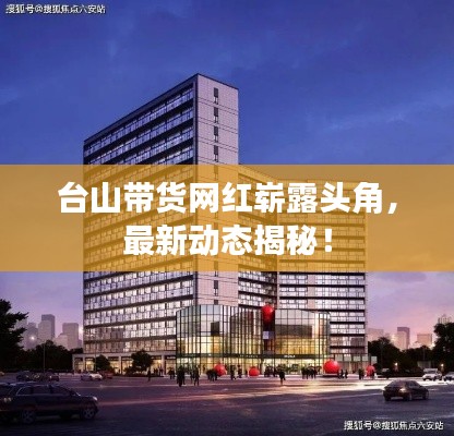 台山带货网红崭露头角，最新动态揭秘！