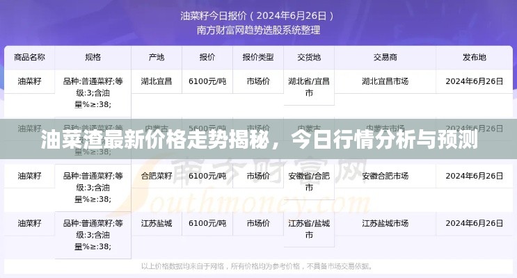 油菜渣最新价格走势揭秘，今日行情分析与预测