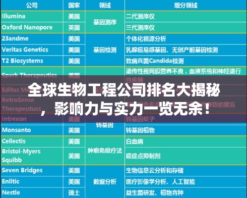 雍容典雅
