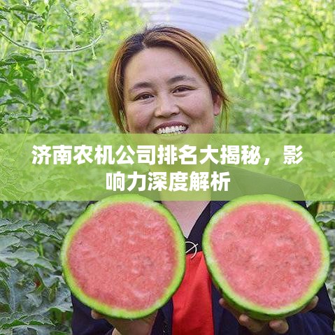 济南农机公司排名大揭秘，影响力深度解析