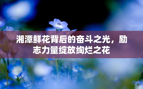 湘潭鲜花背后的奋斗之光，励志力量绽放绚烂之花