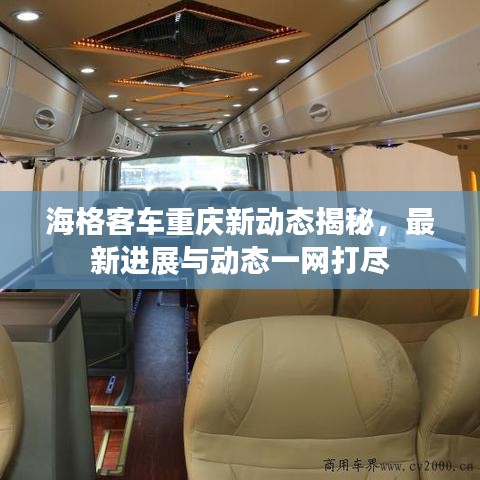 海格客车重庆新动态揭秘，最新进展与动态一网打尽