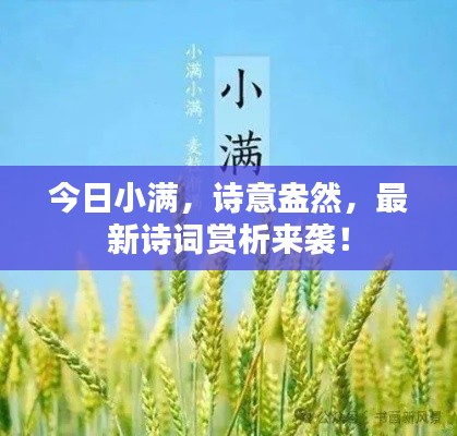 今日小满，诗意盎然，最新诗词赏析来袭！