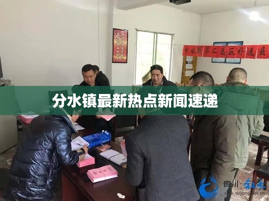 分水镇最新热点新闻速递