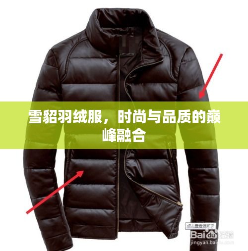 雪貂羽绒服，时尚与品质的巅峰融合