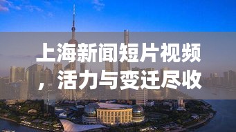 上海新闻短片视频，活力与变迁尽收眼底