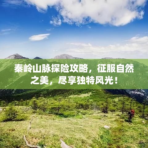 秦岭山脉探险攻略，征服自然之美，尽享独特风光！