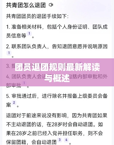 团员退团规则最新解读与概述