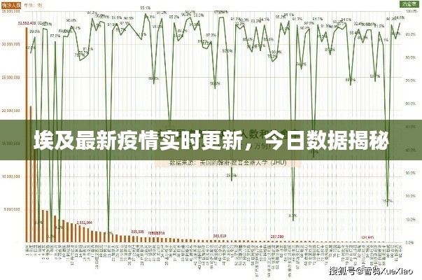 埃及最新疫情实时更新，今日数据揭秘
