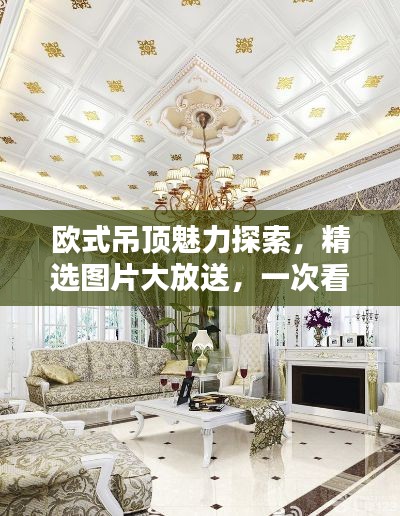 欧式吊顶魅力探索，精选图片大放送，一次看尽百度收录之美
