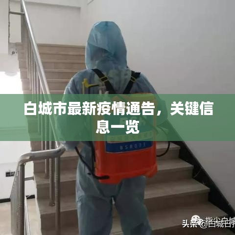 白城市最新疫情通告，关键信息一览