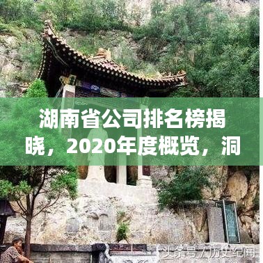 湖南省公司排名榜揭晓，2020年度概览，洞悉企业实力！