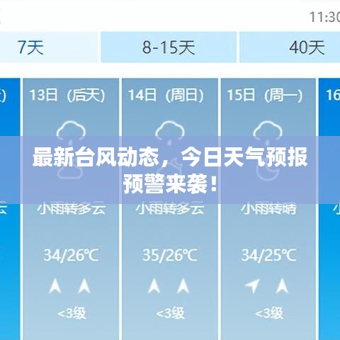 最新台风动态，今日天气预报预警来袭！