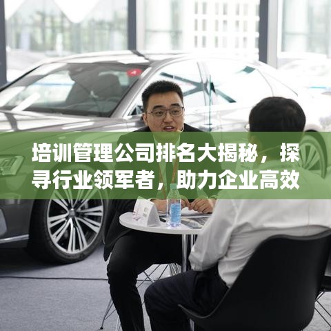 培训管理公司排名大揭秘，探寻行业领军者，助力企业高效成长！