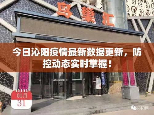 今日沁阳疫情最新数据更新，防控动态实时掌握！