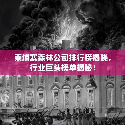 柬埔寨森林公司排行榜揭晓，行业巨头榜单揭秘！
