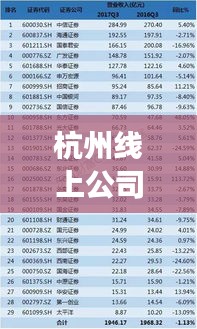 杭州线上公司排名揭秘，发展概况一览