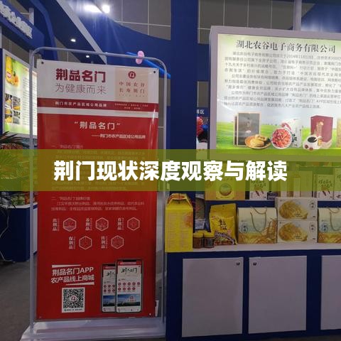 荆门现状深度观察与解读