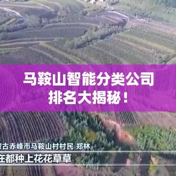 马鞍山智能分类公司排名大揭秘！