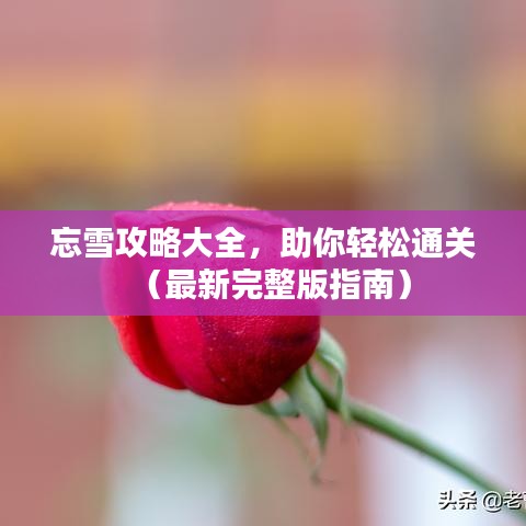 忘雪攻略大全，助你轻松通关（最新完整版指南）