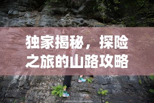 独家揭秘，探险之旅的山路攻略，必看的旅游攻略！