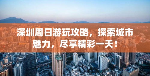 深圳周日游玩攻略，探索城市魅力，尽享精彩一天！