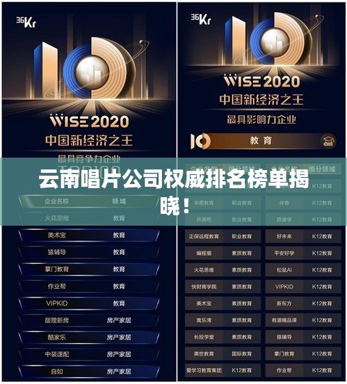 云南唱片公司权威排名榜单揭晓！